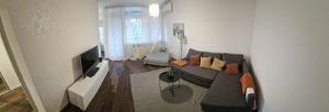 salon z kanapą i telewizorem w obiekcie Apartman Franko- Jarun w Zagrzebiu