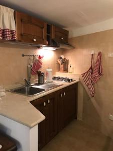 Accogliente casa con camino in stile montano في Rovere: مطبخ مع حوض و كونتر توب