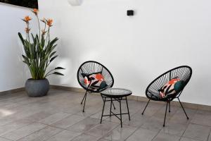 duas cadeiras e uma mesa num quarto com uma planta em GL rooms and apartments em Bari