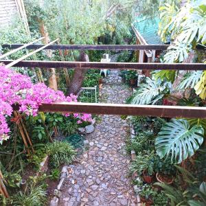 un jardín con flores rosas y un banco de madera en Colonia Suite Apartments, en Colonia del Sacramento