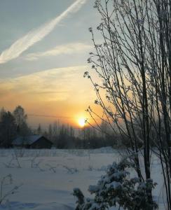 a sunset in a snow covered field with a tree at Arctic Circle Home in Rovaniemi