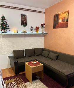 Χώρος καθιστικού στο Apartman JZ Zlatibor +1 φωτογραφίες