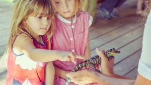 two little girls holding a lizard in their hands at Holiday Inn Express San Diego South - National City by IHG in National City