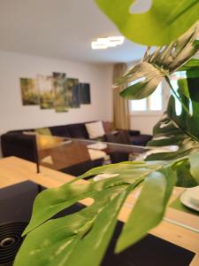 een woonkamer met een bank en een groene plant bij Modern Mountain Apartment - free parking & sauna in Obertauern