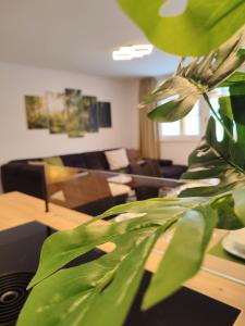 a living room with a couch and a green plant at Modern Mountain Apartment - free parking & sauna in Obertauern