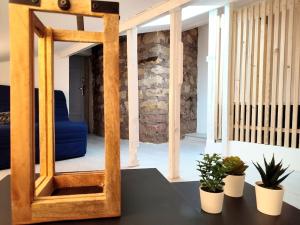 a mirror sitting on top of a table with plants at Leopold Room 30m2 Hyper centre, Netflix & Wi-fi in Épinal