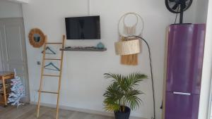 a room with a tv and a ladder and a plant at Studio Vaimiti pour 2 personnes vue mer et Moorea in Faaa