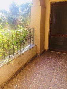 Kép Small apartment with garden szállásáról Kairóban a galériában