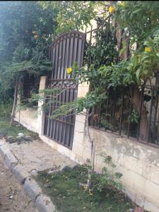una puerta de hierro en un edificio con un árbol en Small apartment with garden en El Cairo