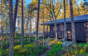 una cabina nel bosco con alberi di Awesome Home In Fyresdal With Kitchen a Fyresdal