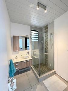 a bathroom with a glass shower and a sink at Luxury beach house with spectacular sea view and pool in Trou aux Biches