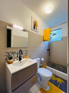 Appartement Manou في لو لامينتين: حمام به مرحاض أبيض ومغسلة