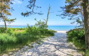 a path to the beach through the trees at Pet Friendly Home In Nexø With Kitchen in Neksø +11 photos
