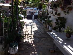 a courtyard with potted plants and a bench at Casa em São Thomé das Letras in São Thomé das Letras