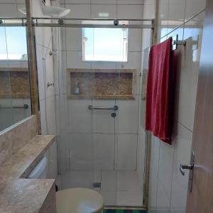 ein Bad mit Dusche, WC und Fenster in der Unterkunft Apartamento bom descanso in Serra Negra