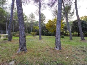 Zdjęcie z galerii obiektu Mas Provençal avec Piscine, Parc Privé et Studio Indépendant - Saint-Rémy-de-Provence - FR-1-599-74 w mieście Saint-Rémy-de-Provence