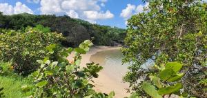 Peisaj natural din apropierea acestei case de vacanță