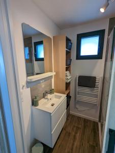 een kleine badkamer met een wastafel en een spiegel bij La Rogeraie Cap gris nez in Audinghen