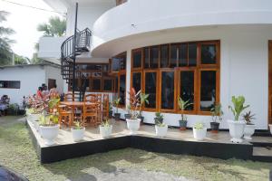 Ein Haus mit einem Haufen Topfpflanzen davor in der Unterkunft Amis Hotel & Restaurant in Jaffna