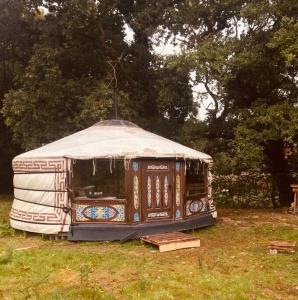 uma tenda sentada na relva num campo em Mongolian yurt sleeping 2+2 with outdoor space em Llanbrynmair