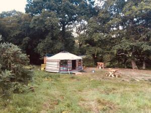 a yurt in the middle of a field with trees at Mongolian yurt sleeping 2+2 with outdoor space in Llanbrynmair