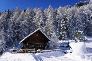 una cabina nella neve con alberi innevati di Bergheim Schmidt, Almhütten im Wald Appartments an der Piste Alpine Huts in Forrest Appartments near Slope a Turracher Hohe