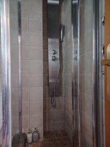 een douche met een glazen deur in de badkamer bij Guest Room in Serres