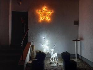 Fotografie z fotogalerie ubytování Penzion U Elišky v destinaci Liberec