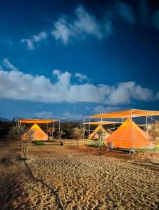 dos tiendas naranjas en un campo con cielo en נירוונה במדבר en Be'er Milka