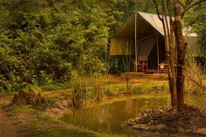 uma tenda na floresta ao lado de um corpo de água em Big Game - Yala by Eco Team em Yala