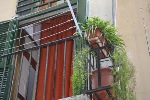 ナポリにあるCasa Mariaの窓際の鉢植えの階段