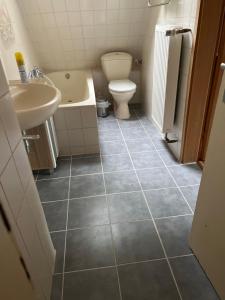 a bathroom with a toilet and a sink and a tub at Haus Hochwald in Hermeskeil