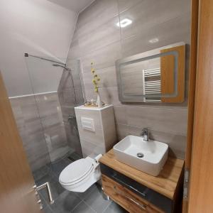 y baño con aseo, lavabo y ducha. en Apartmaji Biseri, en Kranjska Gora