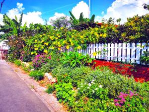 a garden with colorful flowers and a white fence at ハレマヤ 一軒家 Haremaya in Ishigaki Island