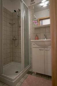 Koupelna v ubytování Apartmaji in sobe Marija Jera Štanjel