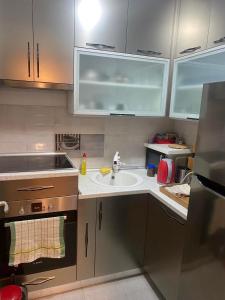 uma cozinha com um lavatório e uma bancada em Luxury apartments Free Parking em Niš
