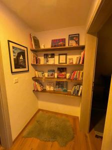 Knihovna v apartmánu