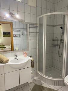 a bathroom with a sink and a shower at Weingut Pugl in Leibnitz