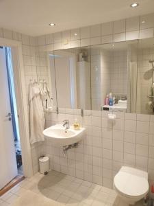y baño con aseo y lavamanos. en Quiet 3BR 15min from metro/city, en Copenhague