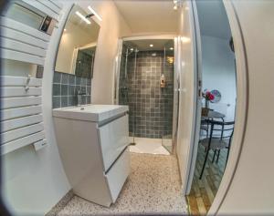 Beaussais sur MerAppartement neuf proche de la mer的带水槽和淋浴的浴室（带镜子）