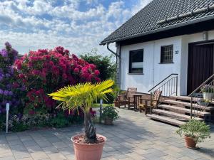 a potted plant in a pot on a patio with flowers at Ferienwohnung Hoher Weg in Clausthal-Zellerfeld