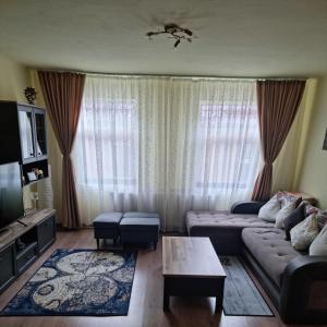 ブラショヴにあるRoca Houseのソファとテーブルのあるリビングルーム