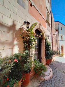 a building with potted plants on the side of it at Dimora Sessanio in Santo Stefano di Sessanio