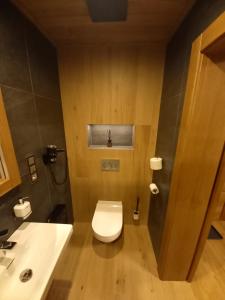 a bathroom with a toilet and a sink at Dvořákova Bouda in Špindlerův Mlýn