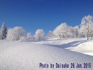 a snow covered hill with trees in the background at Akakura Wakui Hotel in Myoko