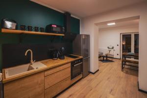 a kitchen with a sink and a refrigerator at Apartmány U Rodinky in Lipova Lazne +76 photos