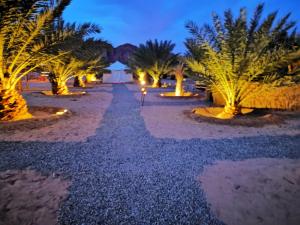 a pathway lined with palm trees at night at Almazham camp resort in AlUla