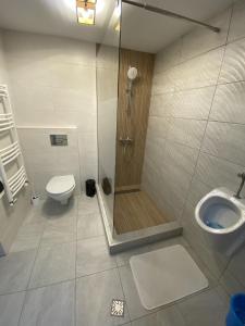 ein Bad mit einer Dusche und einem WC in der Unterkunft Alvi Apartment Poiana Brasov in Poiana Brașov