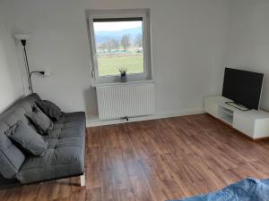 TV a/nebo společenská místnost v ubytování Ferienwohnung ländlich und in Seenähe