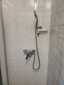 a shower with a shower head in a bathroom at Gästehaus Nachtigall in Gädheim